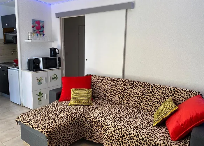 T2 Rdc A En Roussillon Europa 4 Pers ,piscine,clim, Tennis, Parking *