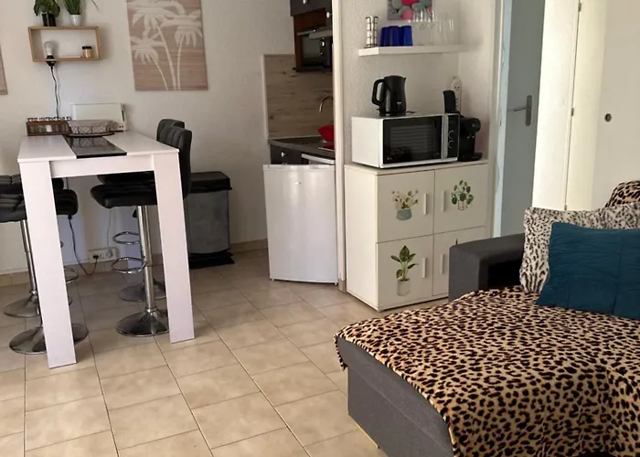 T2 Rdc A En Roussillon Europa 4 Pers ,piscine,clim, Tennis, Parking カネ